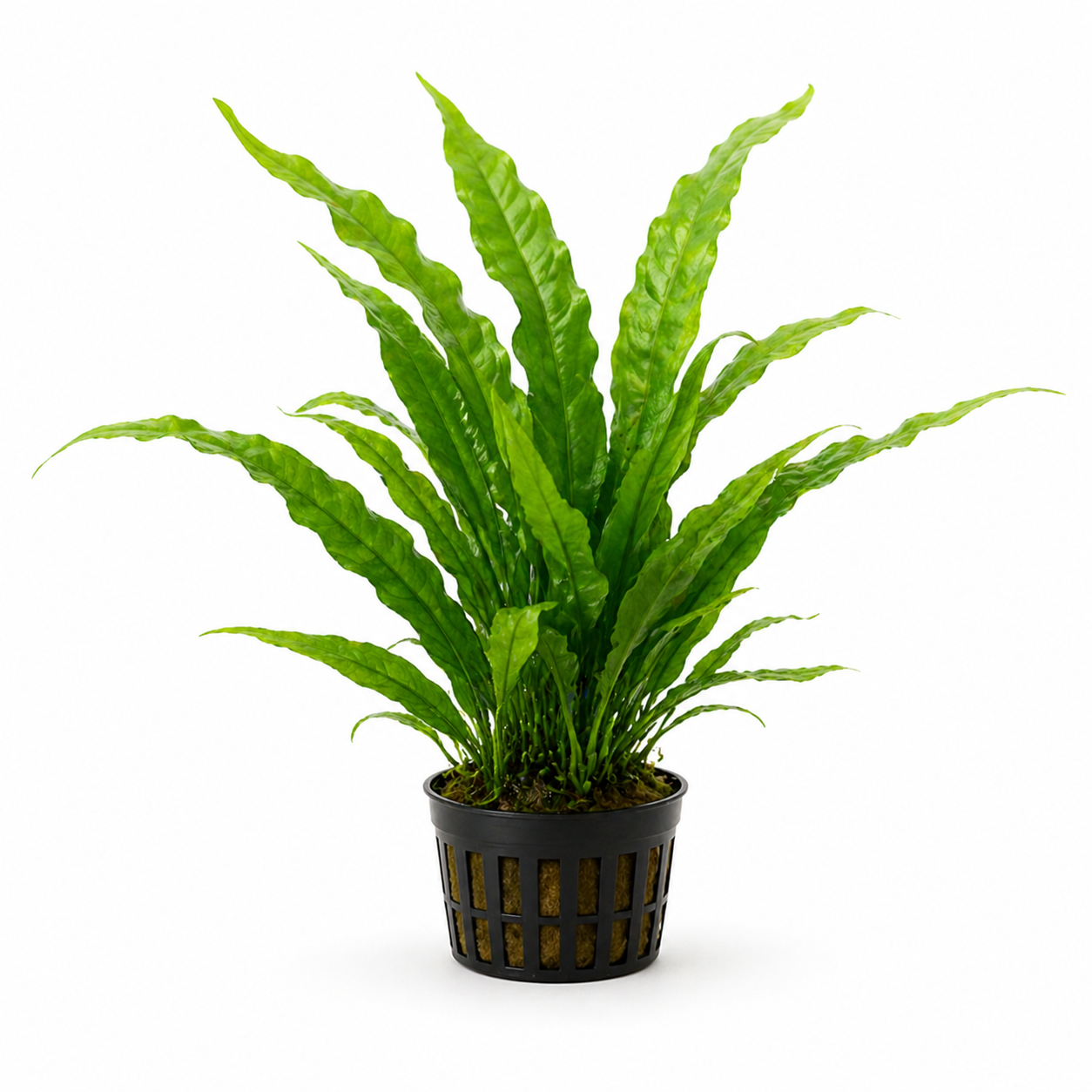 bfc37f17 ce08 429f 8cdd fdb318bff8de